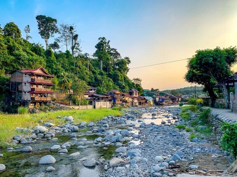 Forest-Edge Village of Tangkahan